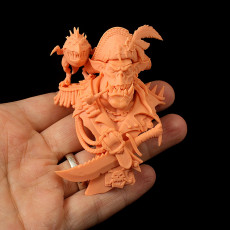 Picture of print of Crazy Orc Pirate