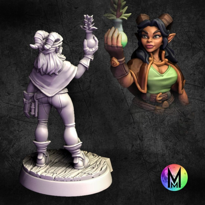 3D Printable Female Tiefling Set - Bard, Fighter / Barbarian, Rogue ...