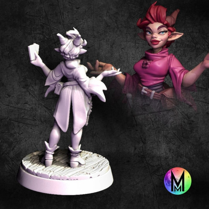 3D Printable Female Tiefling Set - Bard, Fighter / Barbarian, Rogue ...