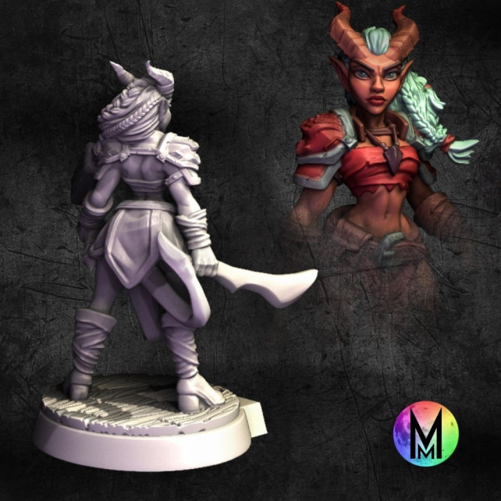 3D Printable Female Tiefling Set - Bard, Fighter / Barbarian, Rogue ...