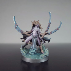 Picture of print of Bladeswarm Remade Elf