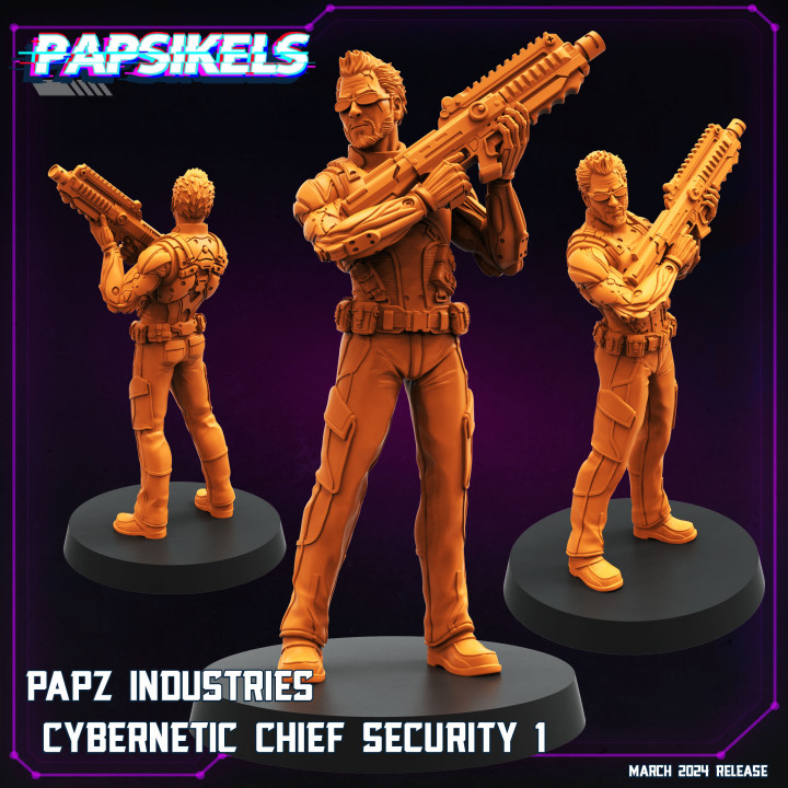 PAPZ INDUSTRIES CYBERNETIC CHIEF SECURITY image