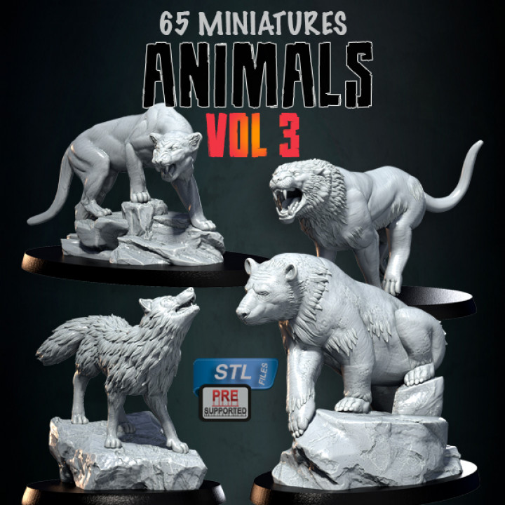 ANIMALS VOL 3's Cover