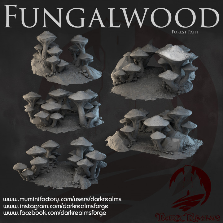 Dark Realms - Fungalwood - Forest Paths image