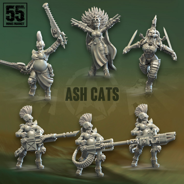 Ash Cats Night gang image