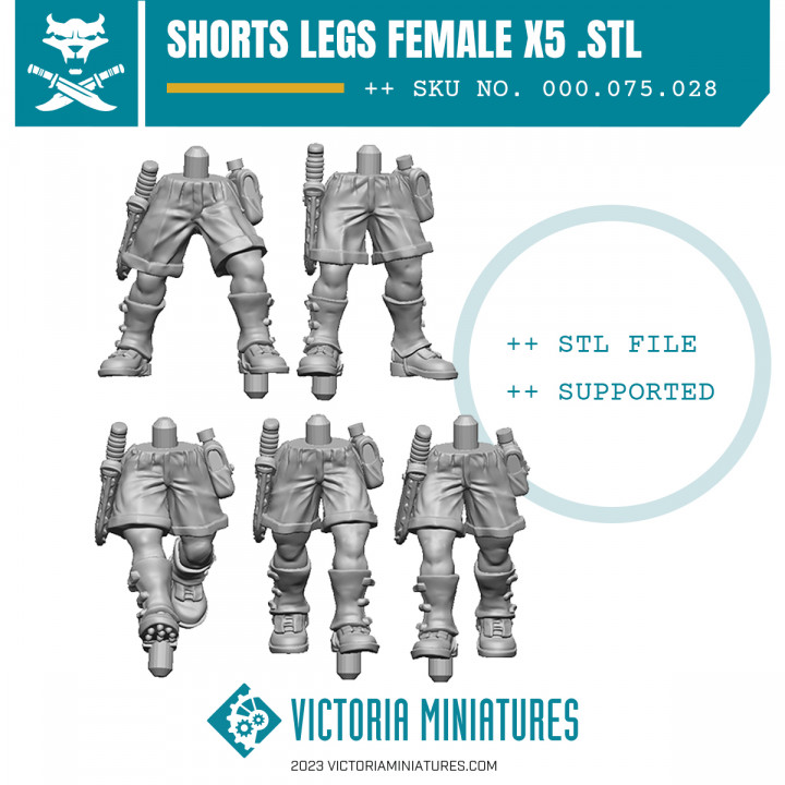 Shorts Legs Female x5 image
