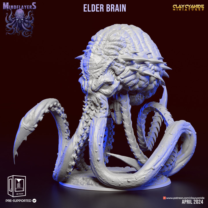 Elder Brain image