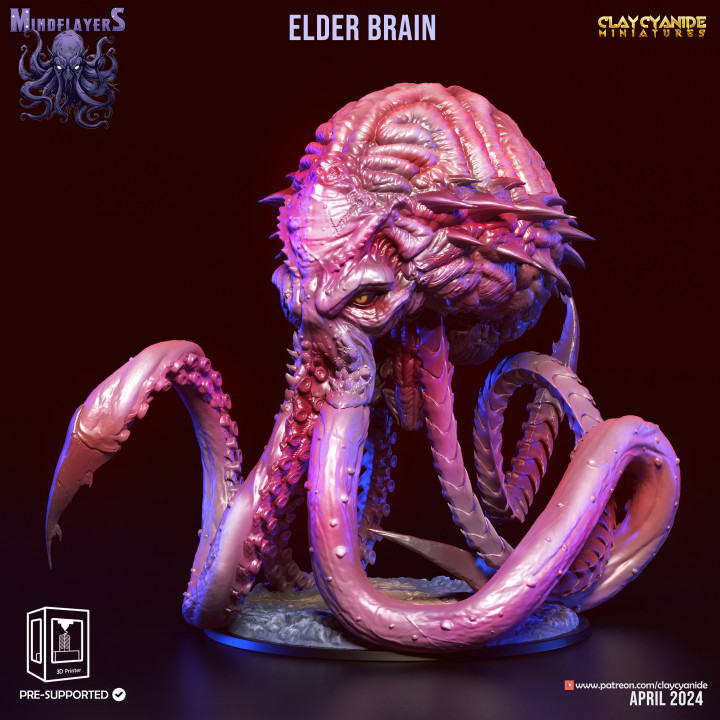 Elder Brain image