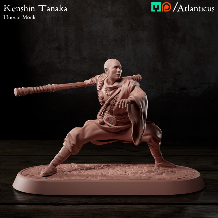 Human Monk - Kenshin Tanaka - Staff Squarestance