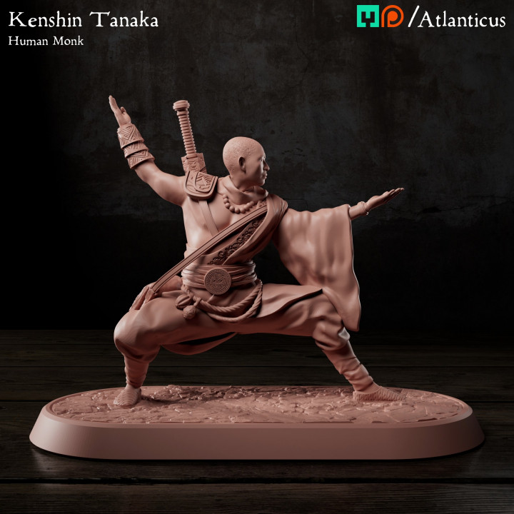 Human Monk - Kenshin Tanaka - Unarmed Backstance