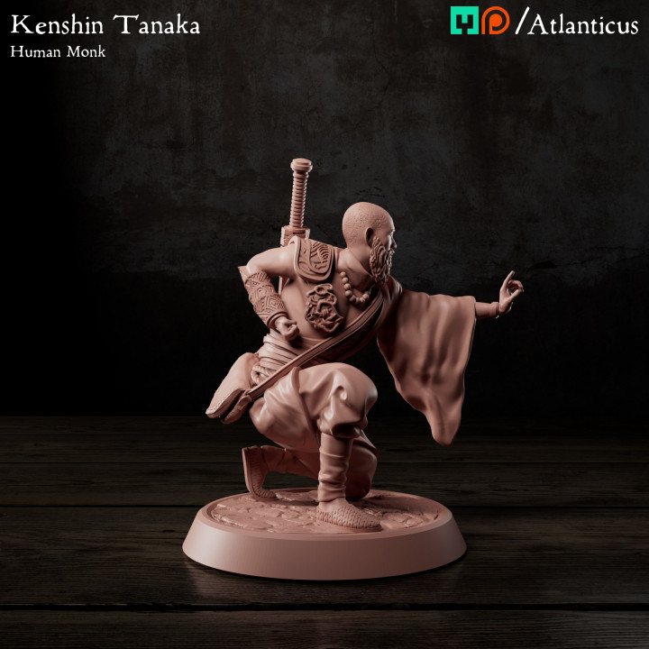 Human Monk - Kenshin Tanaka - Unarmed Kneeling image