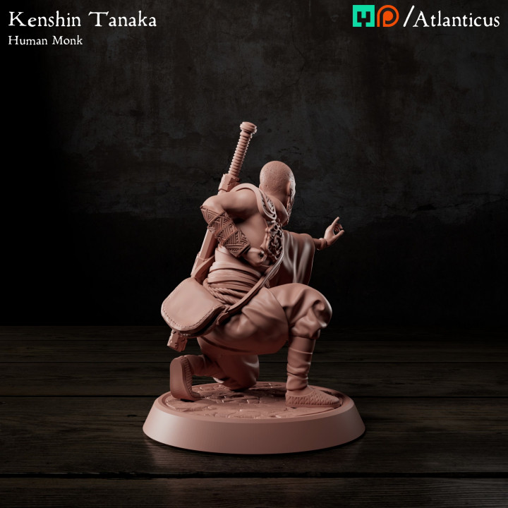 Human Monk - Kenshin Tanaka - Unarmed Kneeling image