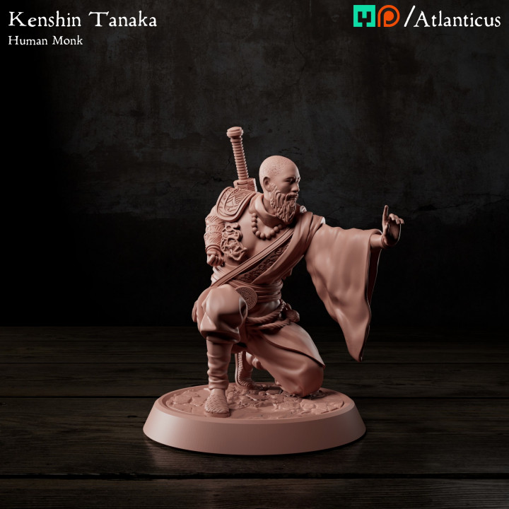 BUNDLE - Human Monk - Kenshin Tanaka image