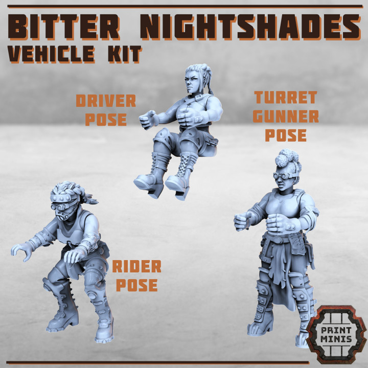 Bitter Nightshades - Vehicle Kit x3 poses image