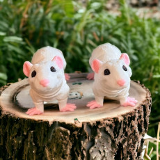 Picture of print of Rat, Articulated fidget, Print-In-Place Body, Snap-Fit Head, Cute Flexi