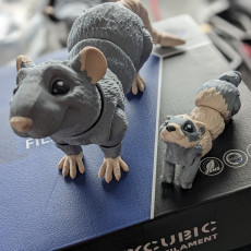 Picture of print of Rat, Articulated fidget, Print-In-Place Body, Snap-Fit Head, Cute Flexi