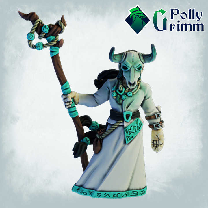Fantasy miniatures for tabletop games. Shaman image