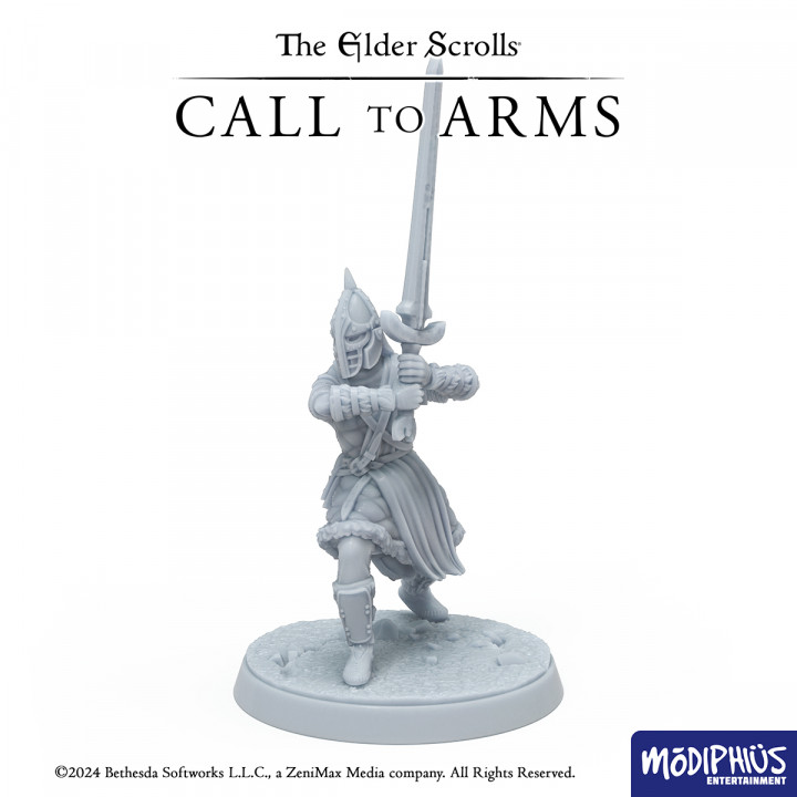The Elder Scrolls: Call to Arms - Print at Home - Stormcloak Starter Set image