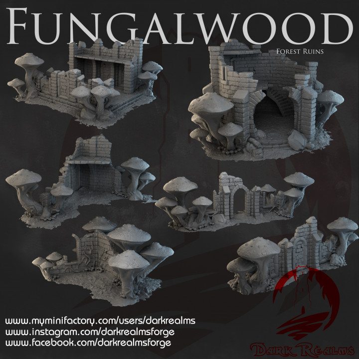 Dark Realms - Fungalwood - Forest Ruins