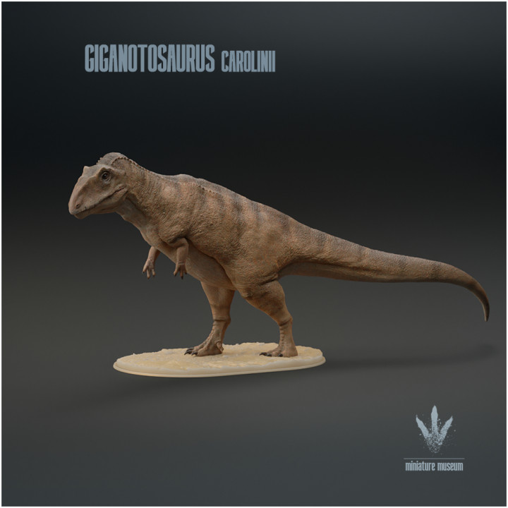 Giganotosaurus carolinii  : The Giant Southern Lizard