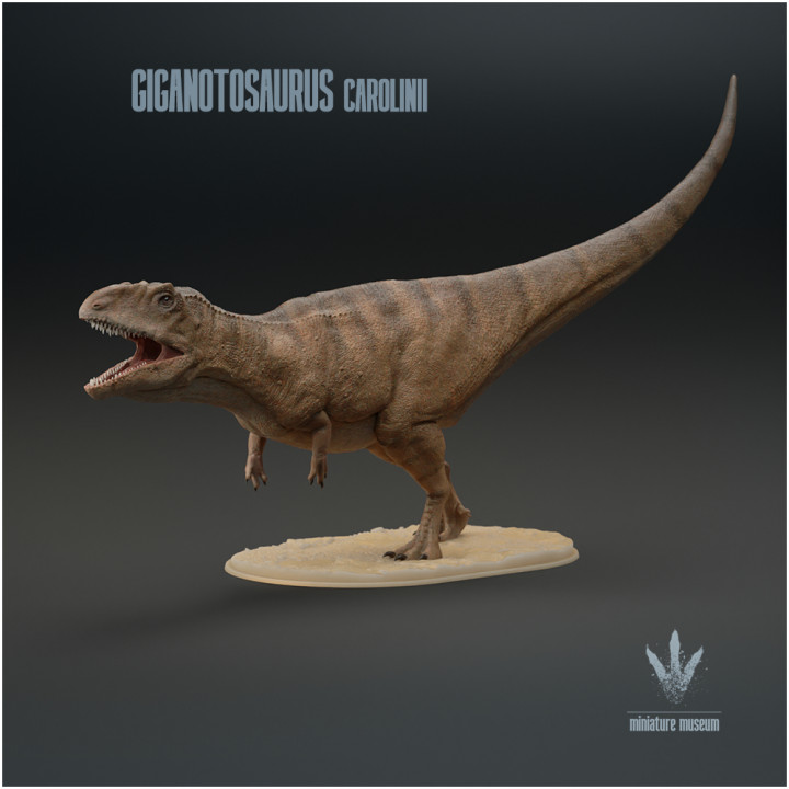 Giganotosaurus carolinii : Roar image
