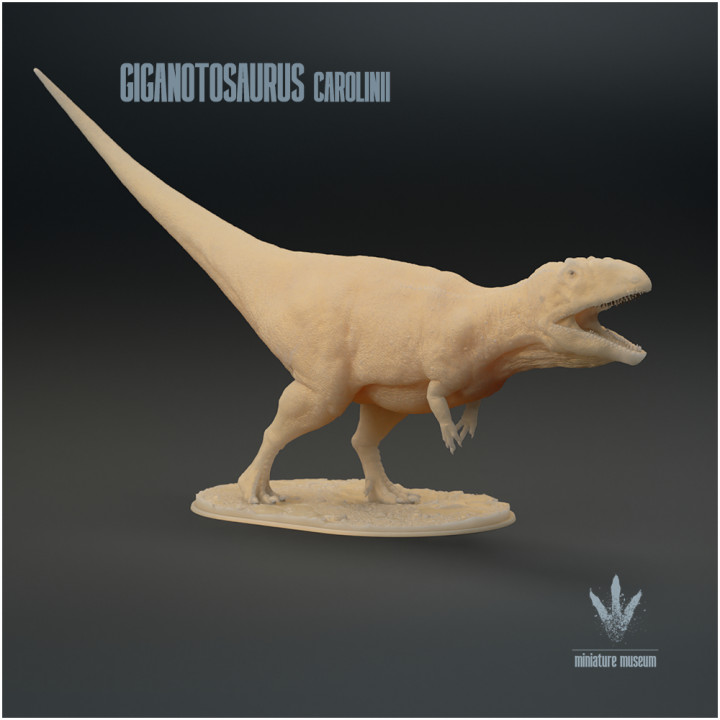Giganotosaurus carolinii : Roar image