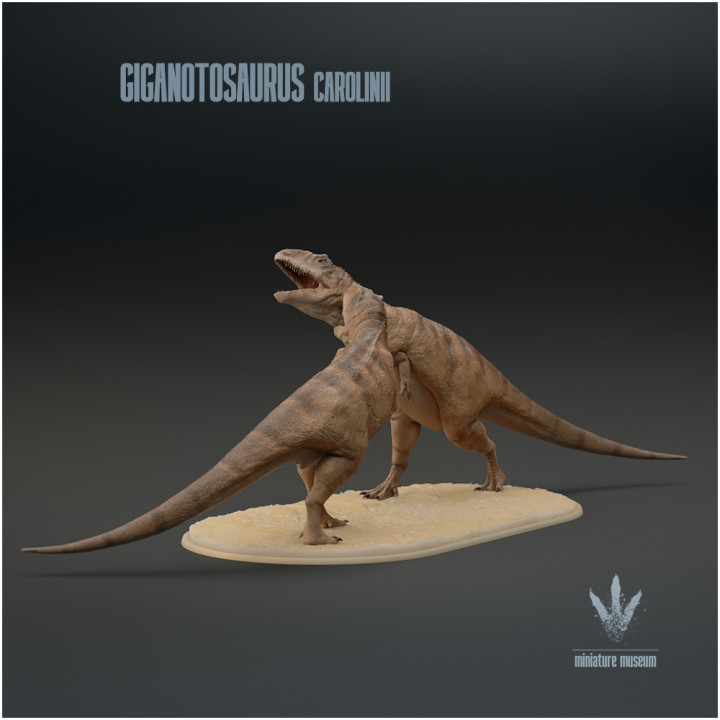 Giganotosaurus carolinii : Fight