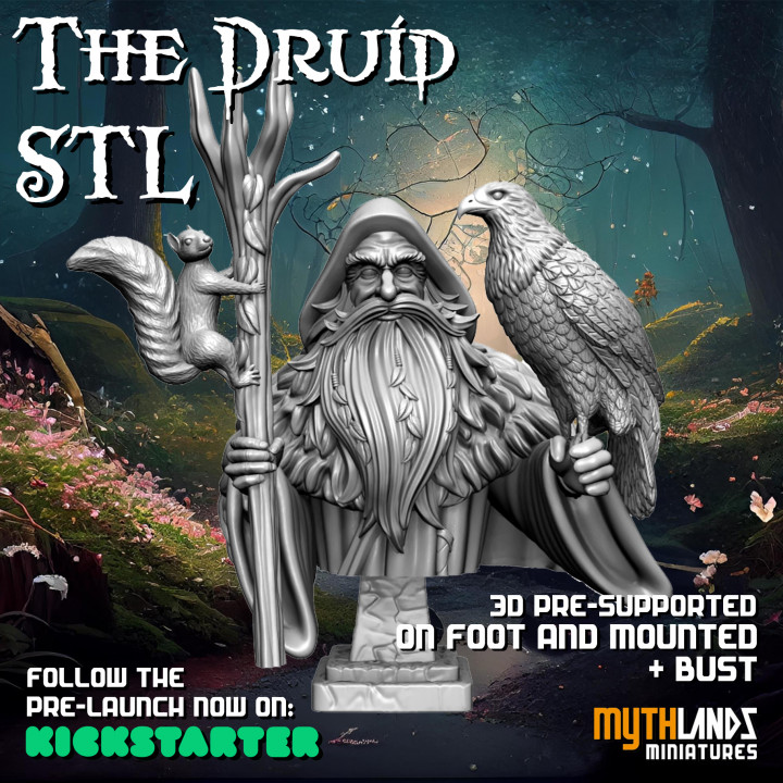 The Druid Bust 1/10 scale image