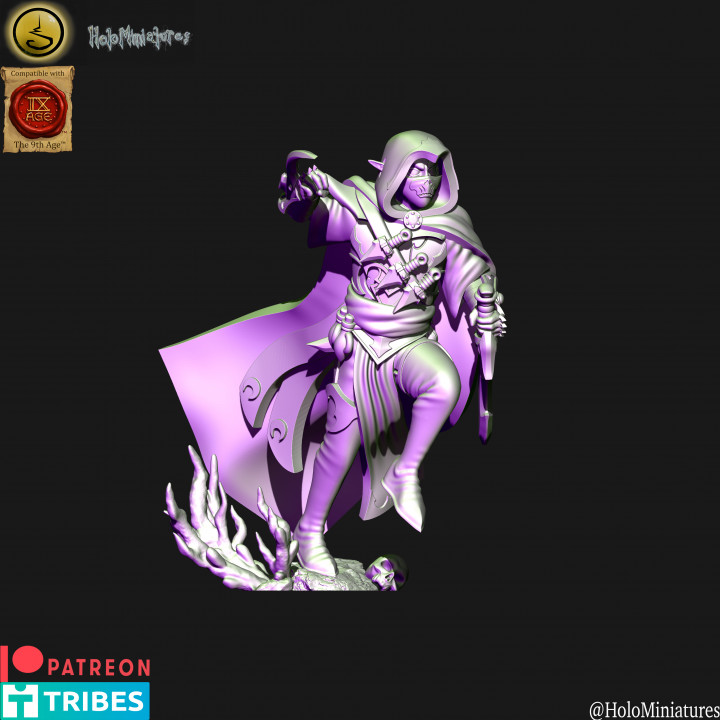 Dark elves assassin
