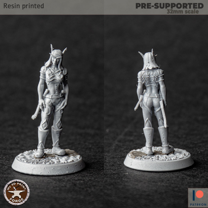 3D Printable Blood Elf Female Rogues by My3DPrintForge