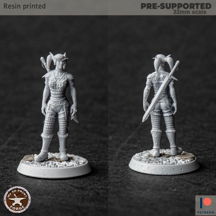 3D Printable Blood Elf Female Paladins by My3DPrintForge