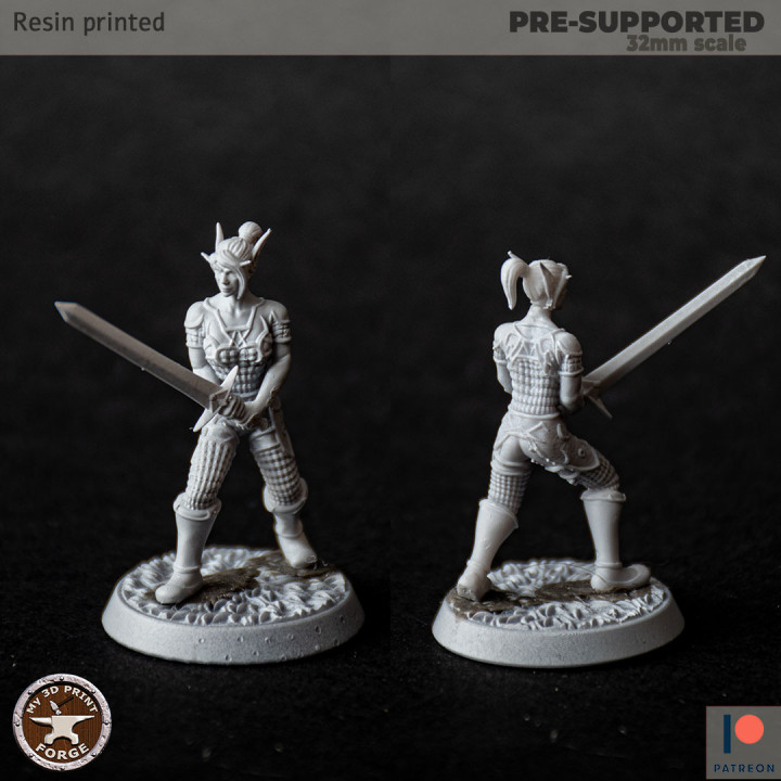 3D Printable Blood Elf Female Paladins by My3DPrintForge