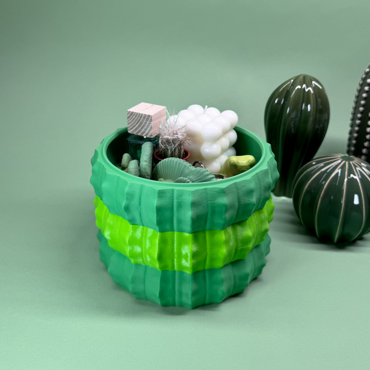 Stackable bowl “cactus” image