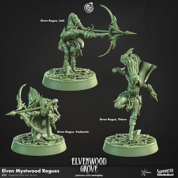 Elven Mystwood Rogues (Pre-Supported) image