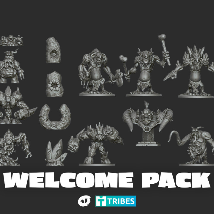 Welcome Pack image