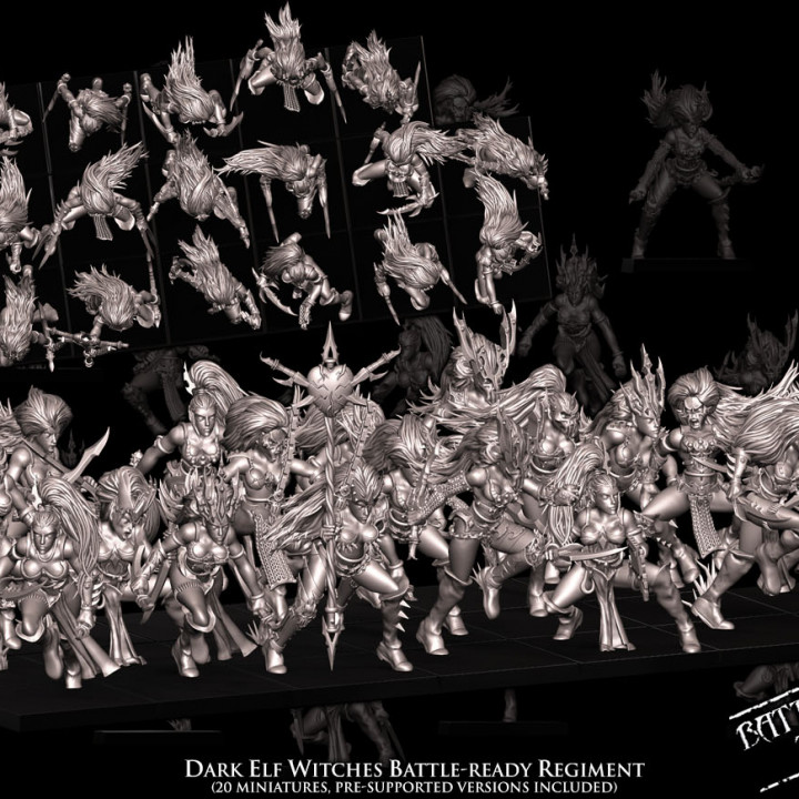 Dark Elf Witches Battle-Ready regiment (20 Dark Elves)