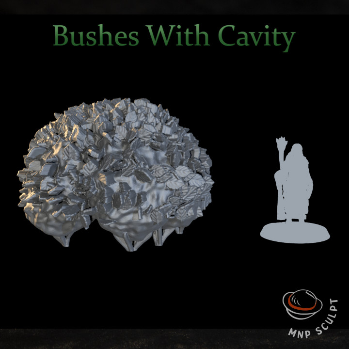 Bushes With Cavity