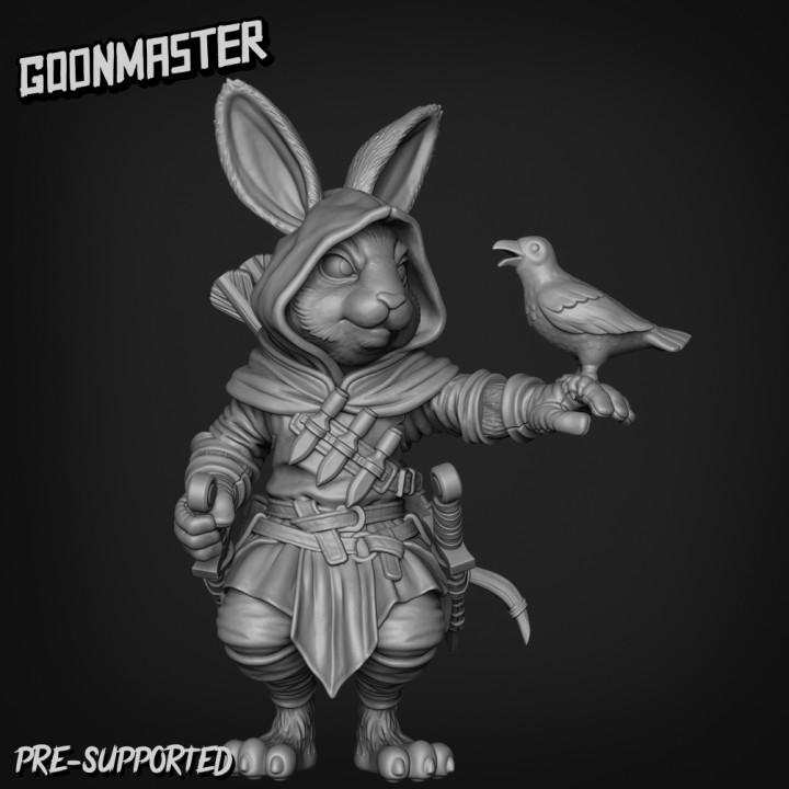 Rabbit Rogue 1