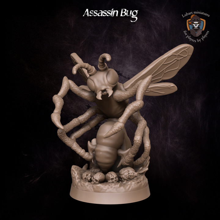 Assassin Bug image