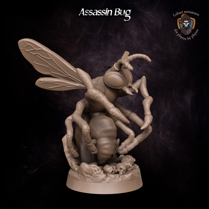 Assassin Bug's Cover