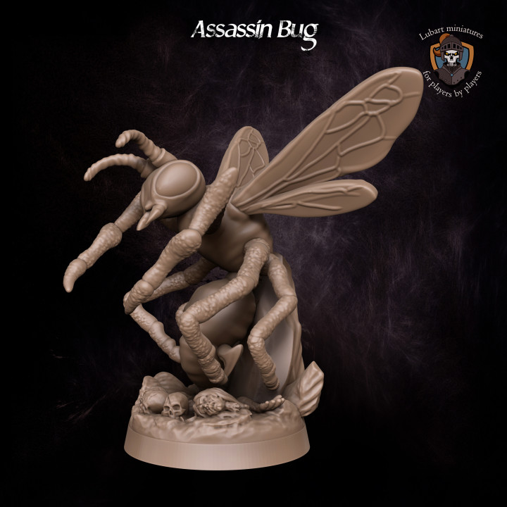 Assassin Bug image