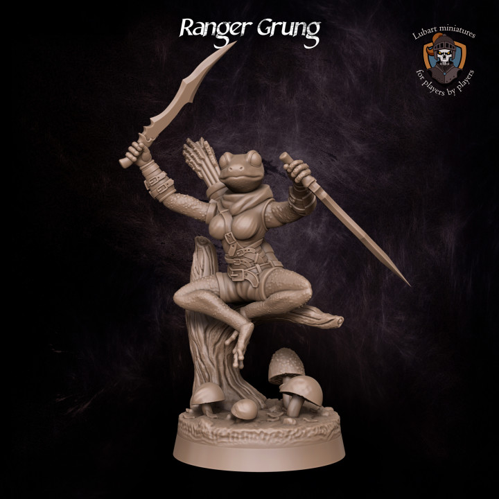 Ranger Grung's Cover