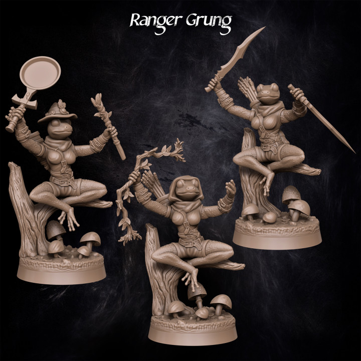 Ranger Grung image