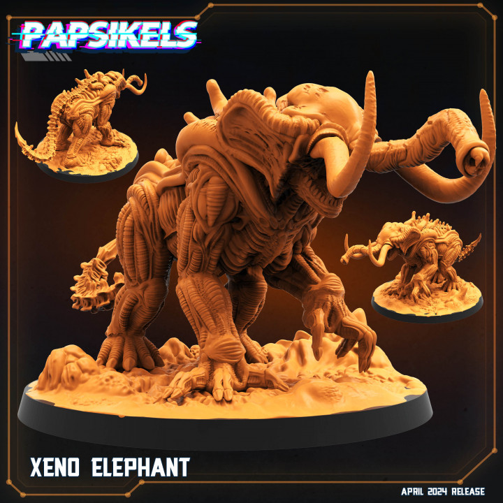 XENO ELEPHANT image