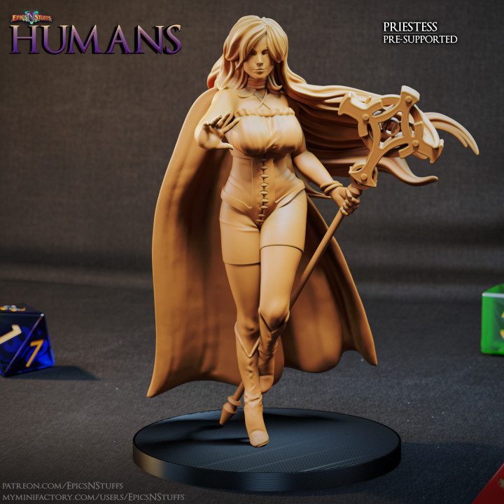 Human Priestess Miniature - Pre-Supported image