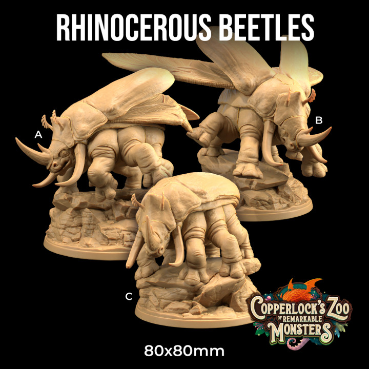 Rhinocerous Beetles | PRESUPPORTED | Copperlock's Zoo