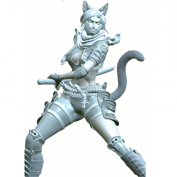 "Morriko" Cute Deadly Neko Assassin STL FILE 32,75,120mm +NSFW image