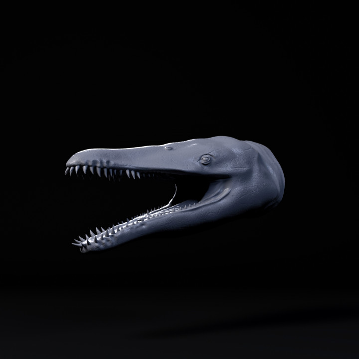 Liopleurodon mount/head image
