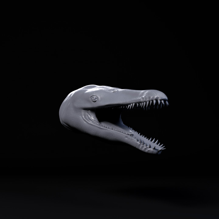 Liopleurodon mount/head image