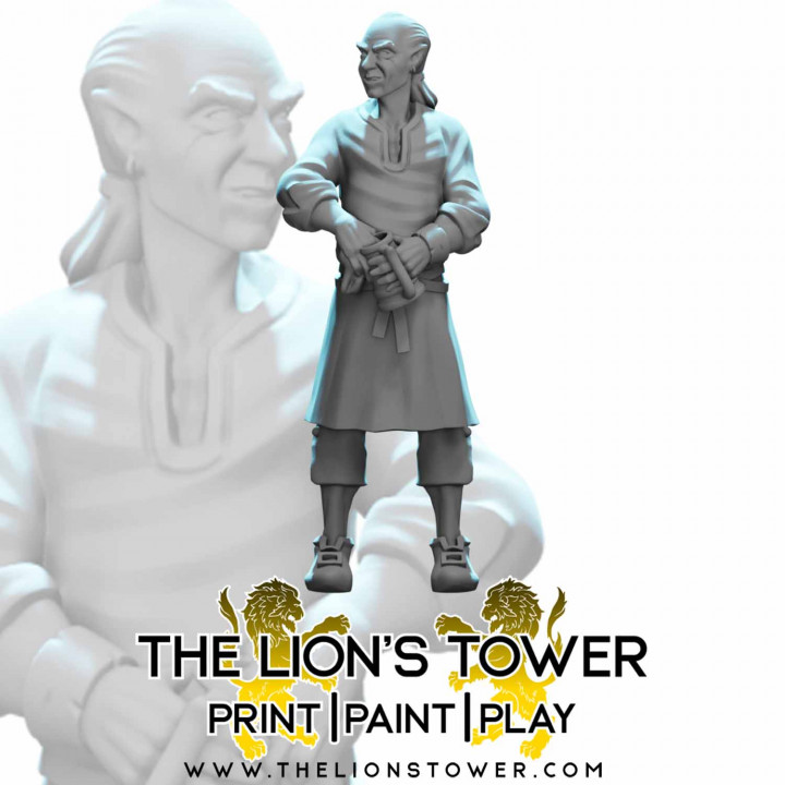 3D Printable Alan Alyth, barkeep by The Lion's Tower Adventurers Guild